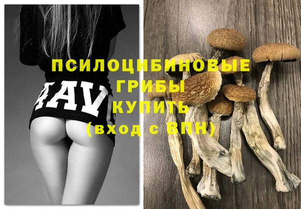 гидра Абинск