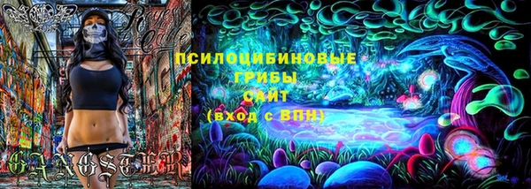 хмурый Михайлов
